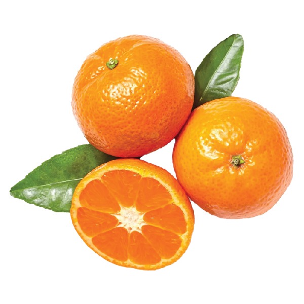 CLEMENTINE